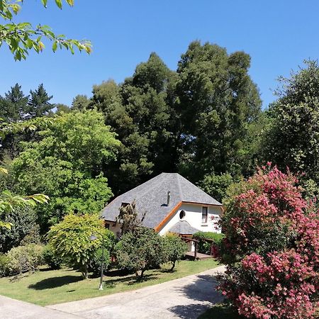 Hogsback Arminel Hotel Εξωτερικό φωτογραφία
