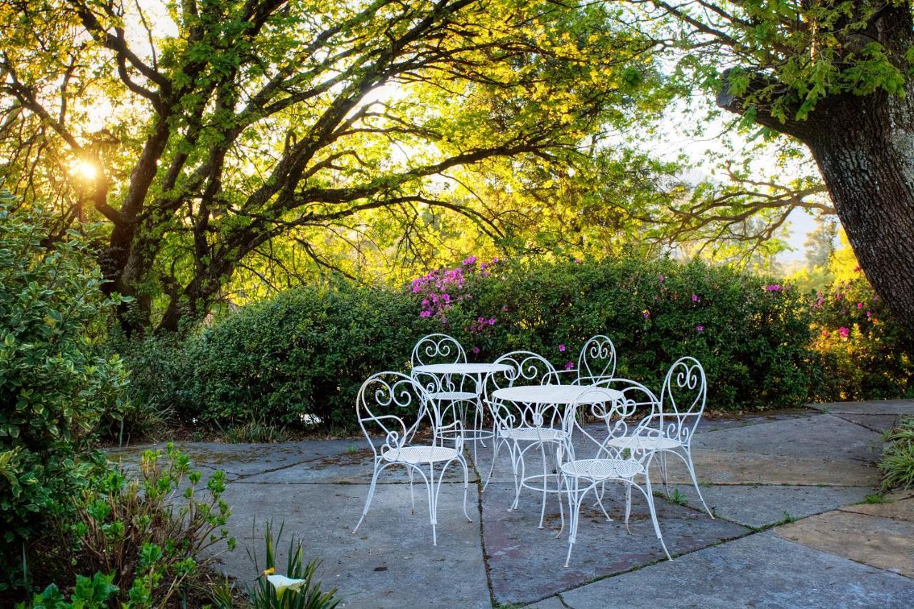 Hogsback Arminel Hotel Εξωτερικό φωτογραφία