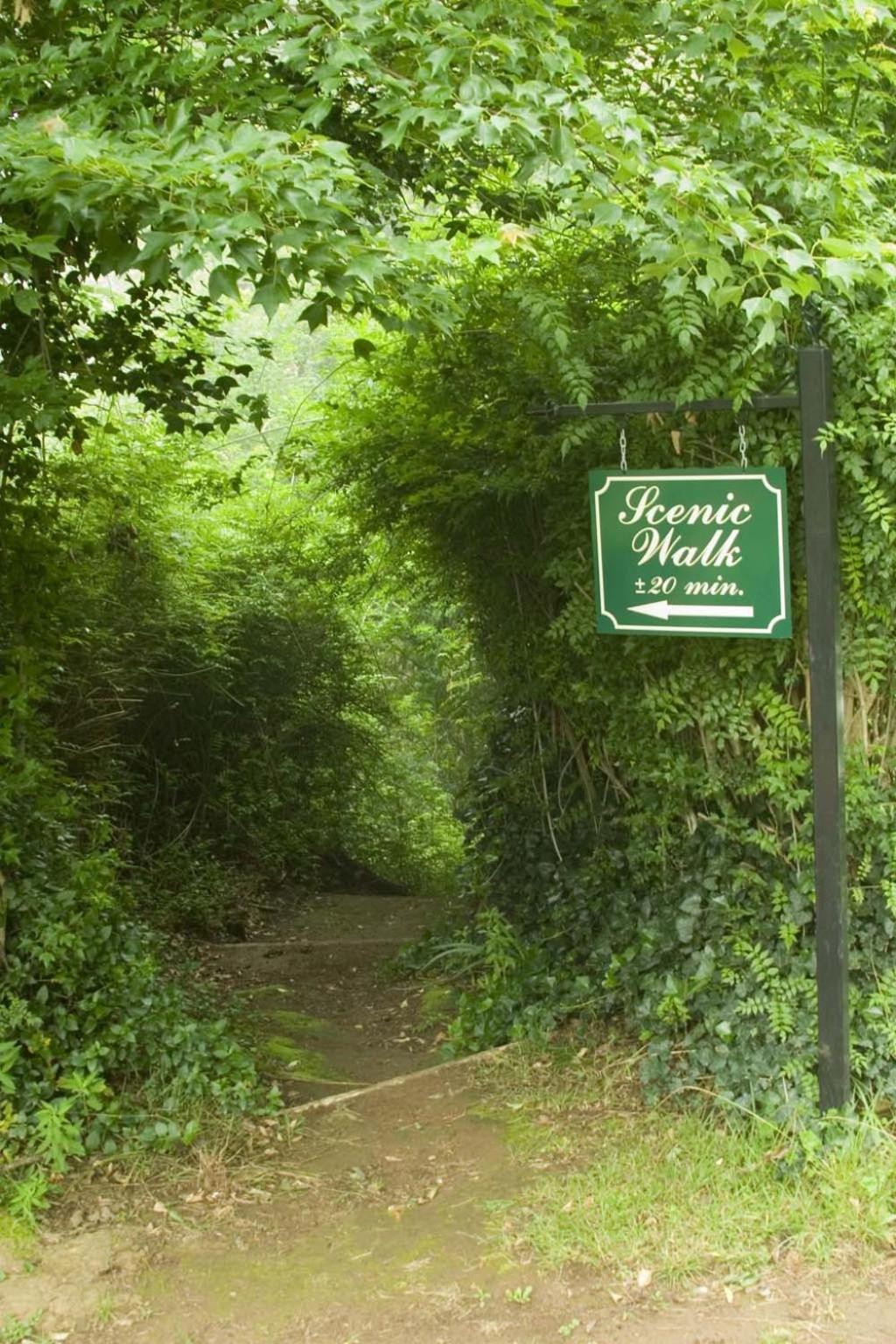 Hogsback Arminel Hotel Εξωτερικό φωτογραφία
