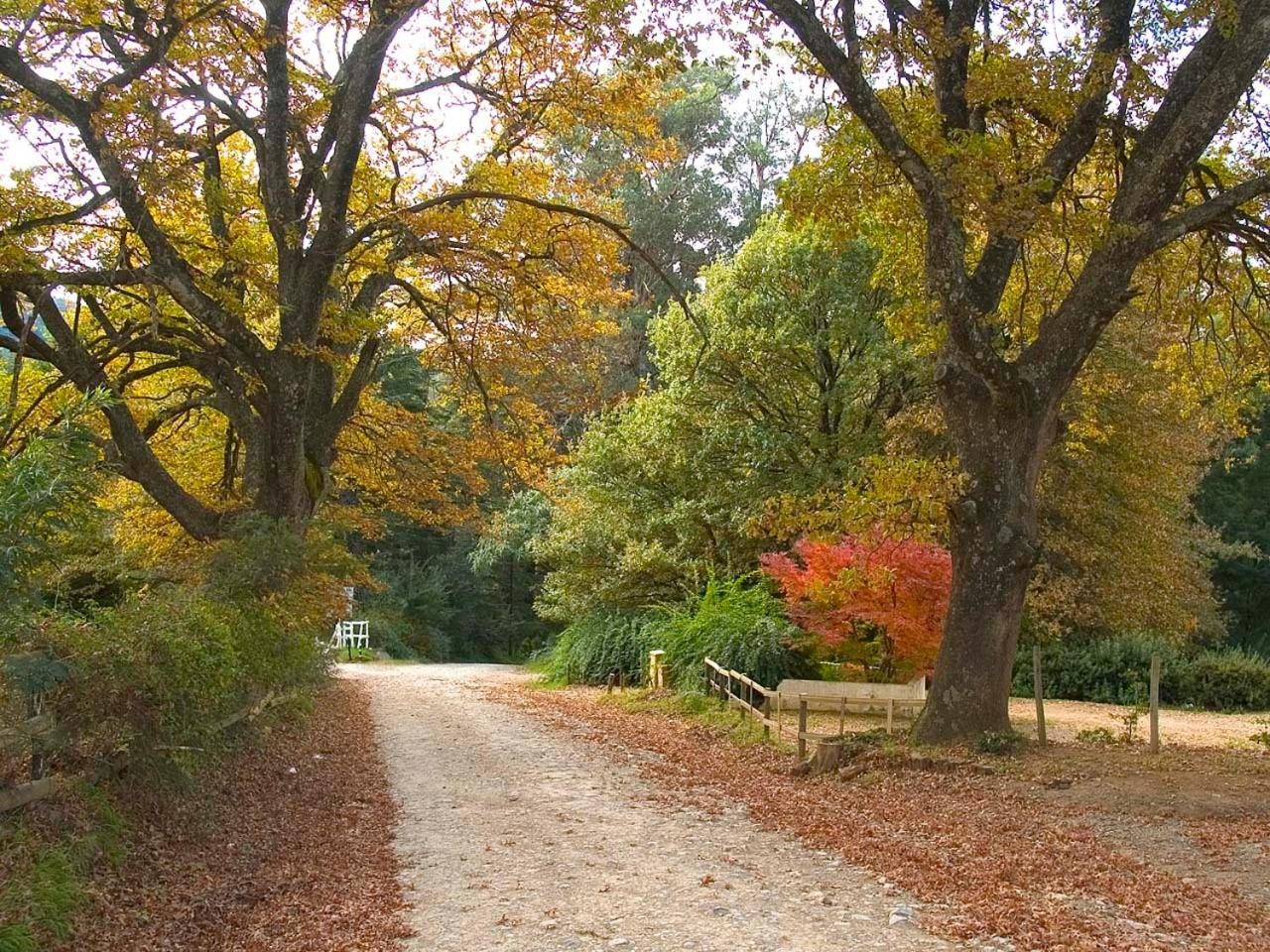 Hogsback Arminel Hotel Εξωτερικό φωτογραφία